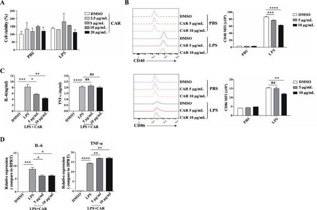 CD40 Antibody in Flow Cytometry (Flow)