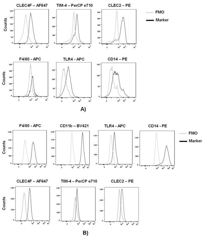 TIM-4 Antibody in Flow Cytometry (Flow)