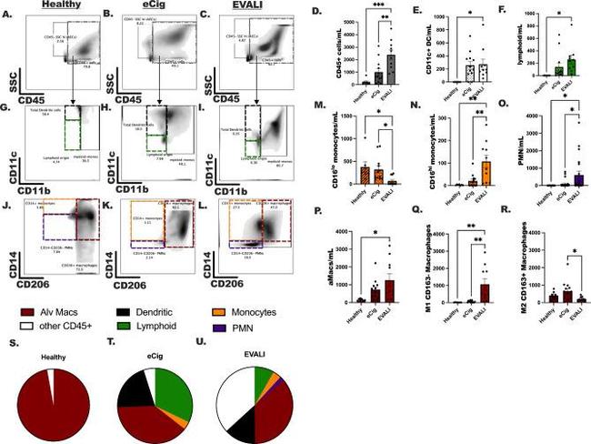 CD11c Antibody in Flow Cytometry (Flow)