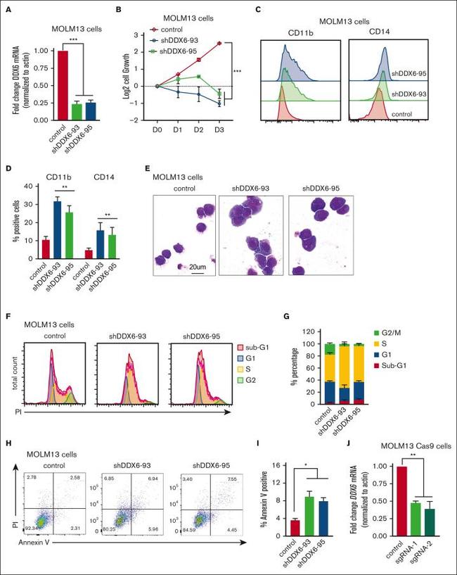 CD11b Antibody in Flow Cytometry (Flow)