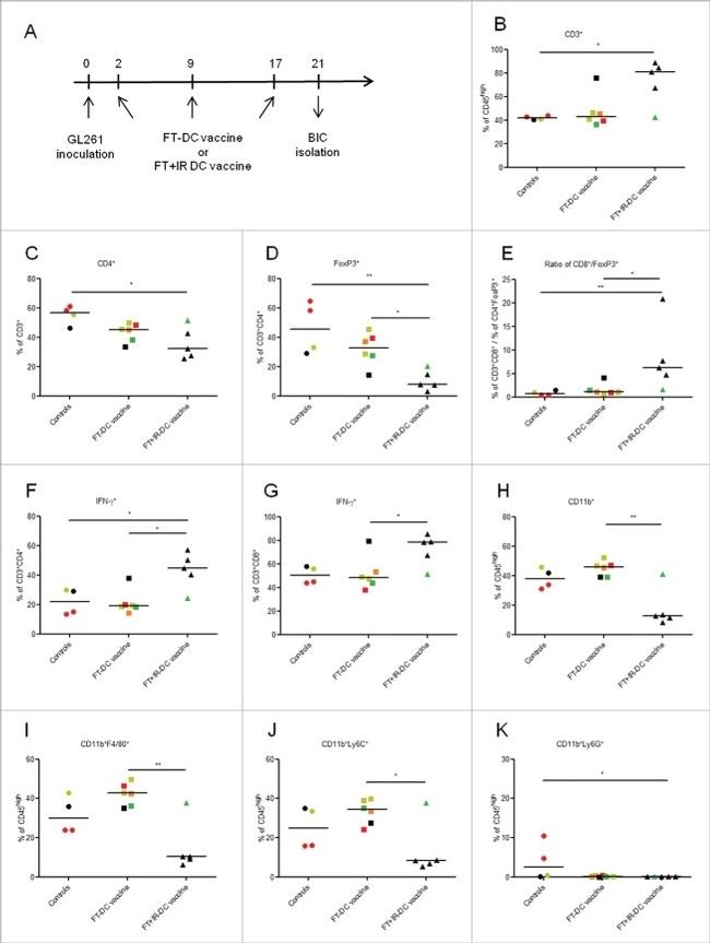 CD3e Antibody in Flow Cytometry (Flow)