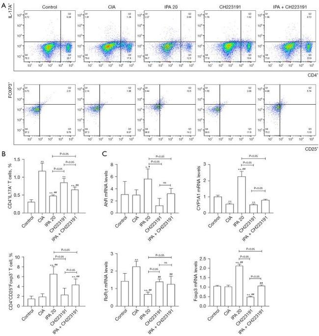 FOXP3 Antibody in Flow Cytometry (Flow)