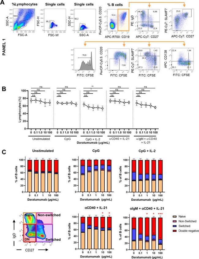 CD27 Antibody in Flow Cytometry (Flow)