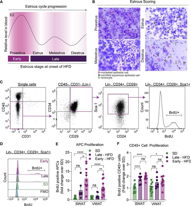 CD31 (PECAM-1) Antibody in Flow Cytometry (Flow)