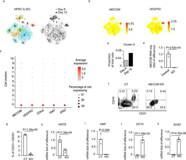 CD31 (PECAM-1) Antibody in Flow Cytometry (Flow)