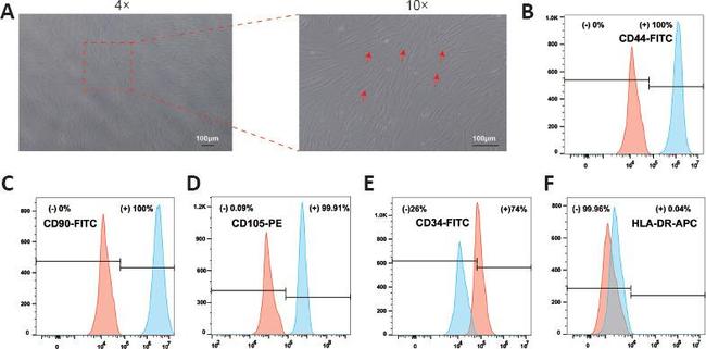 CD44 Antibody in Flow Cytometry (Flow)