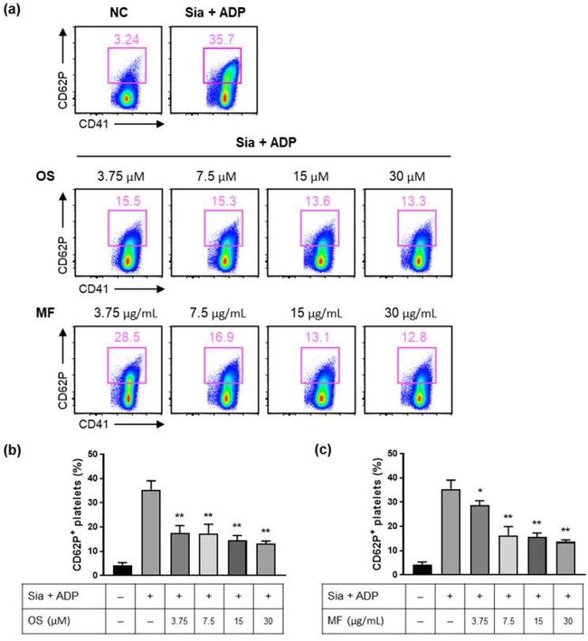 CD62P (P-Selectin) Antibody in Flow Cytometry (Flow)