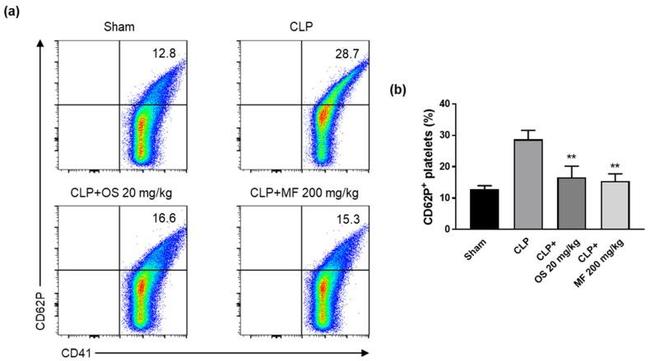 CD62P (P-Selectin) Antibody in Flow Cytometry (Flow)