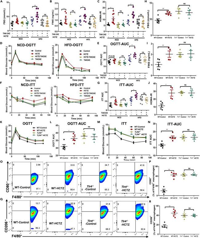 CD206 (MMR) Antibody in Flow Cytometry (Flow)