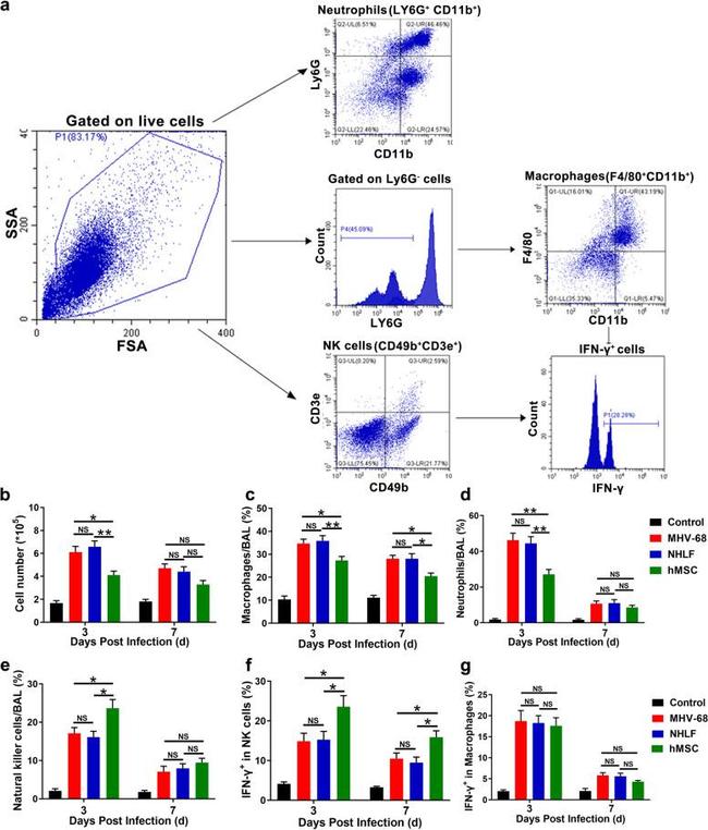 IFN gamma Antibody in Flow Cytometry (Flow)