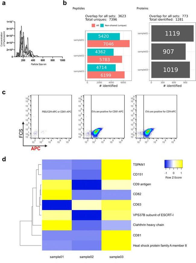 CD81 Antibody in Flow Cytometry (Flow)