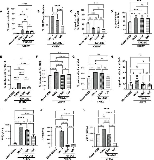 TLR4 Antibody in Flow Cytometry (Flow)