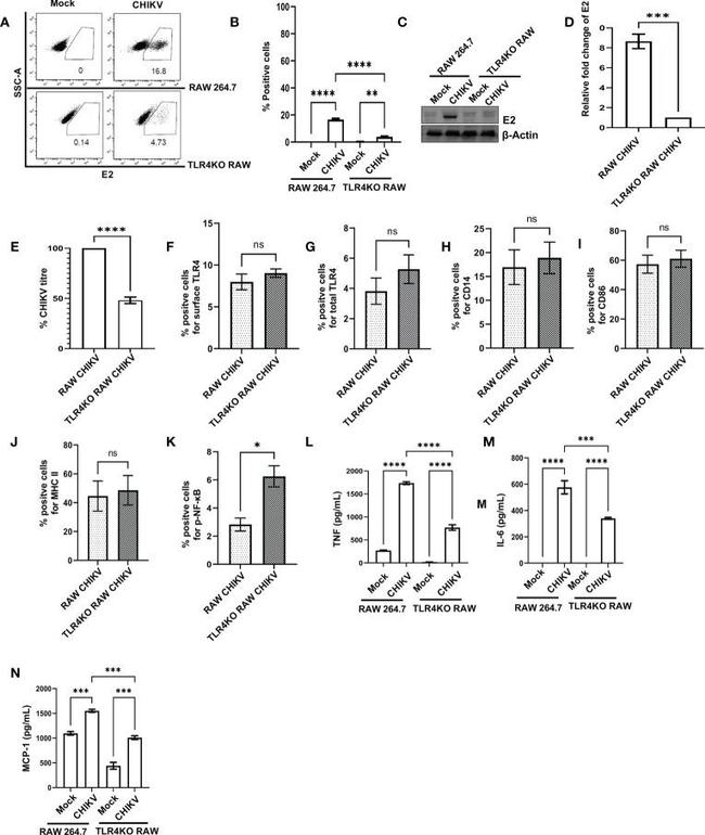 TLR4 Antibody in Flow Cytometry (Flow)