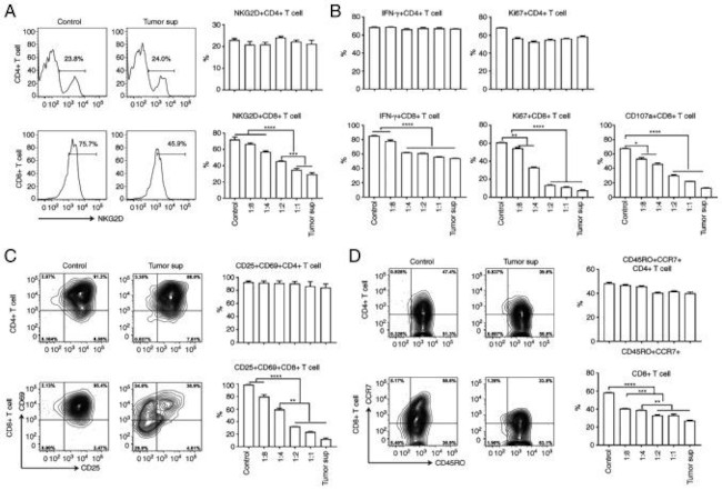 IFN gamma Antibody in Flow Cytometry (Flow)