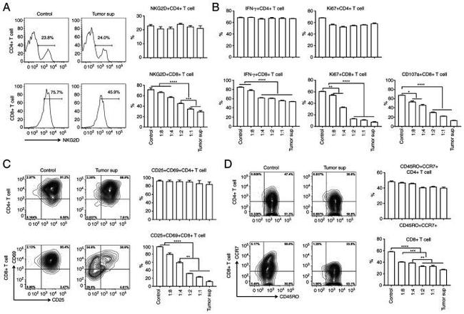 IFN gamma Antibody in Flow Cytometry (Flow)