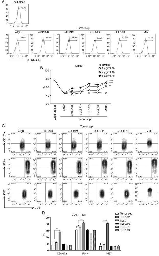 CD107a (LAMP-1) Antibody in Flow Cytometry (Flow)