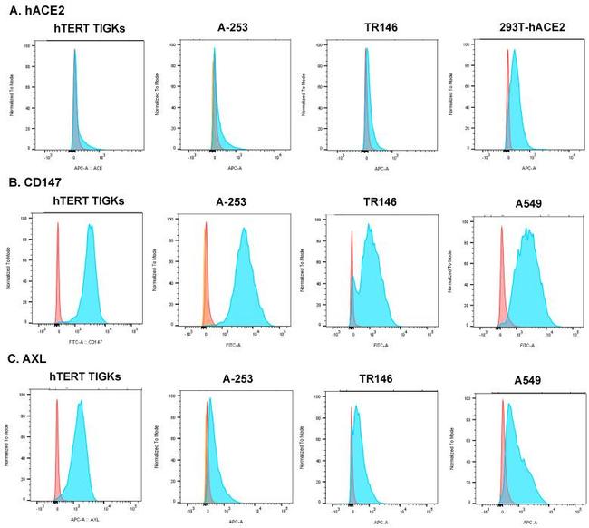 Axl Antibody in Flow Cytometry (Flow)