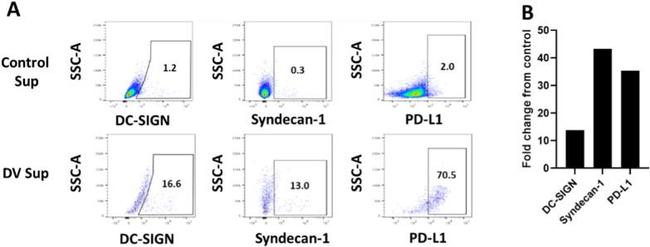 CD138 (Syndecan-1) Antibody in Flow Cytometry (Flow)