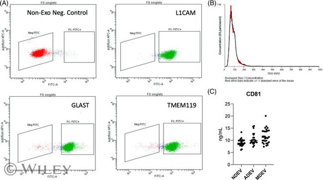 CD171 Antibody in Flow Cytometry (Flow)