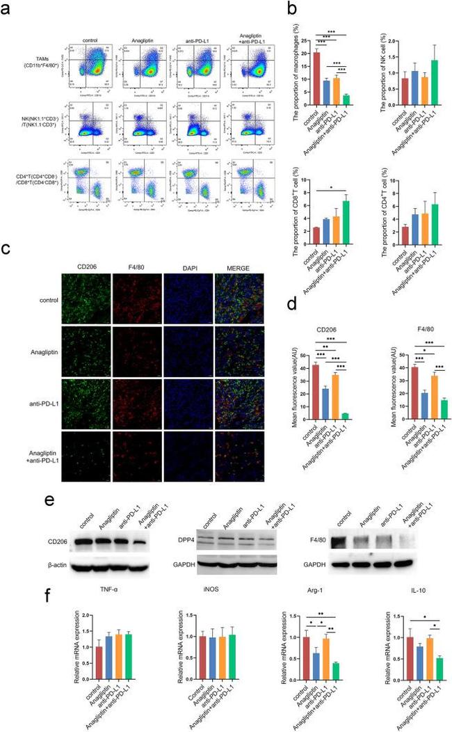 F4/80 Antibody in Flow Cytometry (Flow)