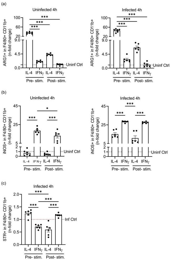 Arginase 1 Antibody in Flow Cytometry (Flow)