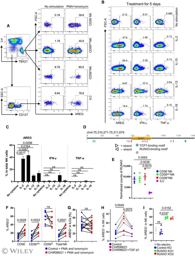 Amphiregulin Antibody in Flow Cytometry (Flow)