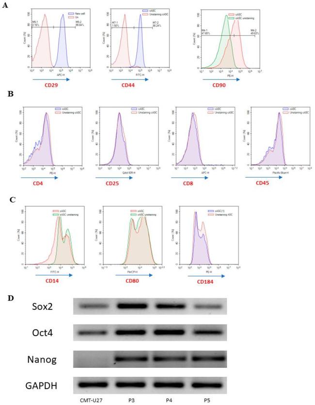 CD90 (Thy-1) Antibody in Flow Cytometry (Flow)