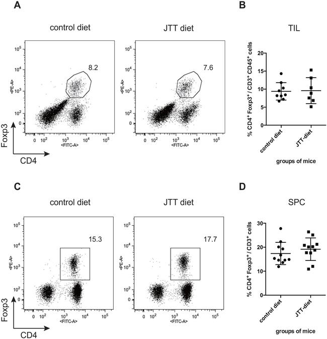 FOXP3 Antibody in Flow Cytometry (Flow)