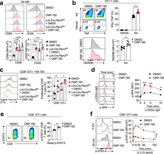 IFN gamma Antibody in Flow Cytometry (Flow)