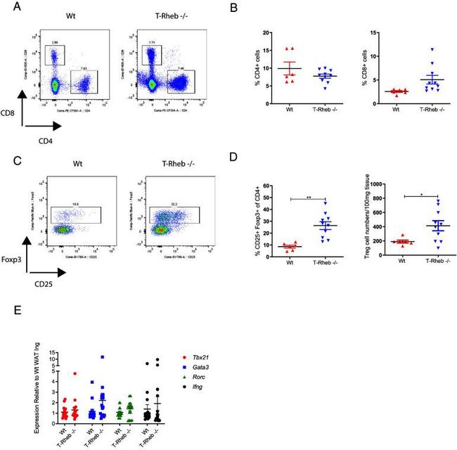 FOXP3 Antibody in Flow Cytometry (Flow)