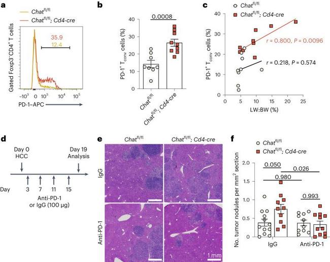 FOXP3 Antibody in Flow Cytometry (Flow)