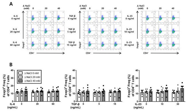 FOXP3 Antibody in Flow Cytometry (Flow)