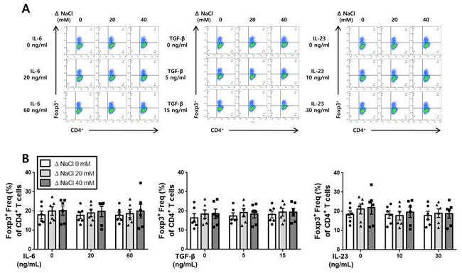 FOXP3 Antibody in Flow Cytometry (Flow)