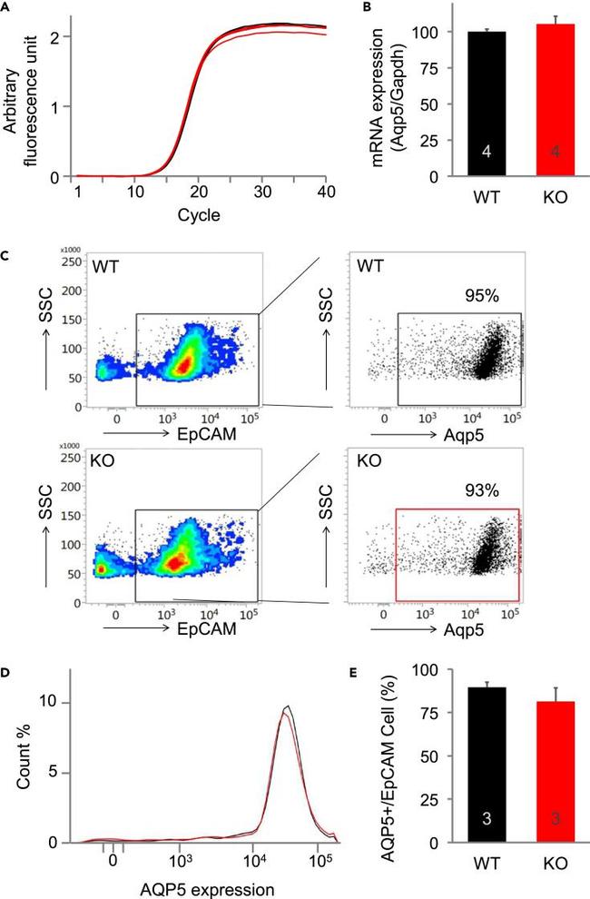 CD326 (EpCAM) Antibody in Flow Cytometry (Flow)