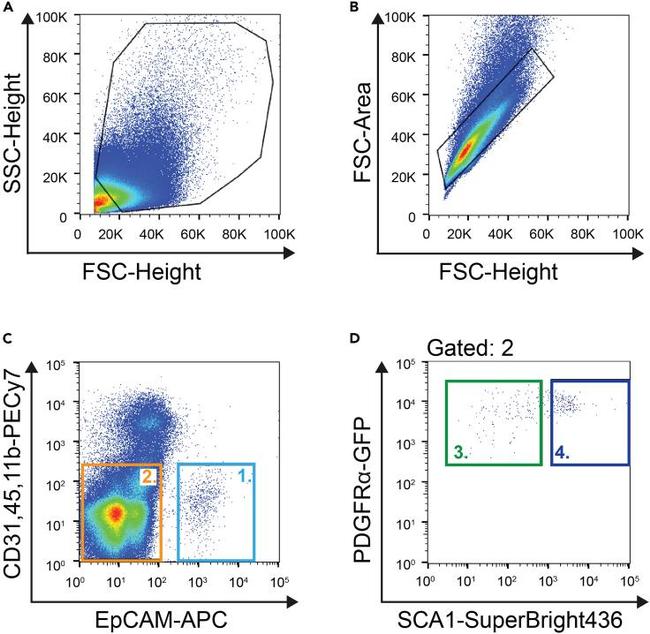 CD326 (EpCAM) Antibody in Flow Cytometry (Flow)