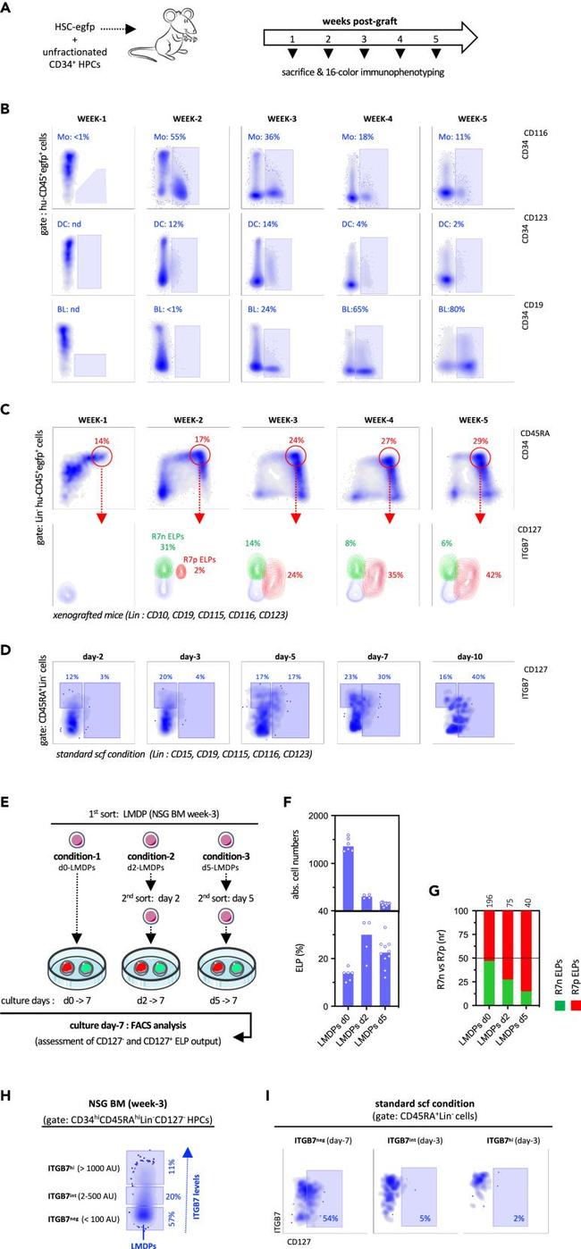 Integrin beta 7 Antibody in Flow Cytometry (Flow)