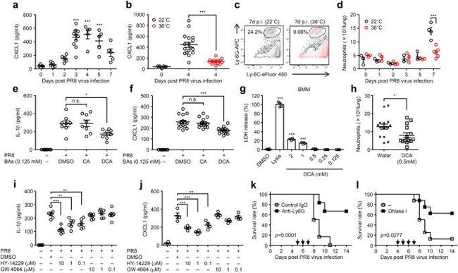 Ly-6C Antibody in Flow Cytometry (Flow)