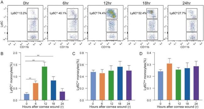 Ly-6C Antibody in Flow Cytometry (Flow)