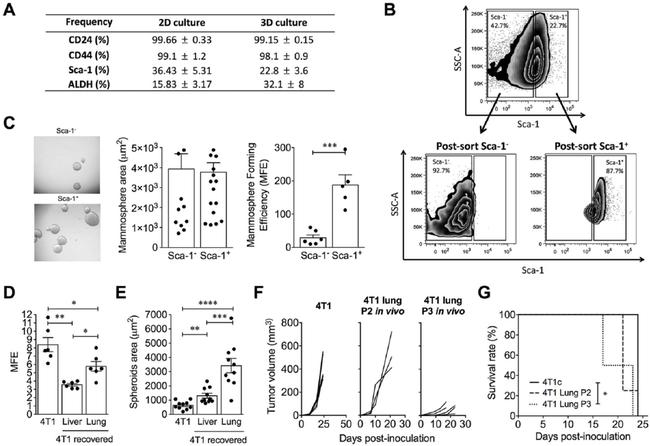 Ly-6A/E (Sca-1) Antibody in Flow Cytometry (Flow)