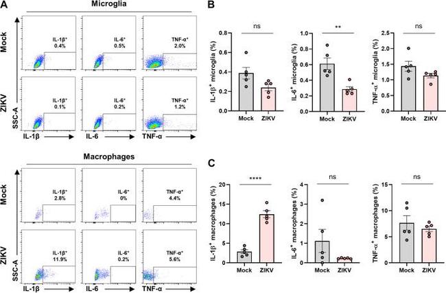 IL-1 beta (Pro-form) Antibody in Flow Cytometry (Flow)