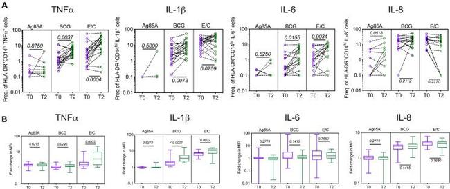 IL-8 (1-77) (CXCL8) Antibody in Flow Cytometry (Flow)