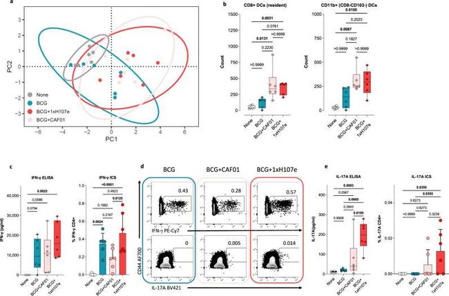 IFN gamma Antibody in Flow Cytometry (Flow)