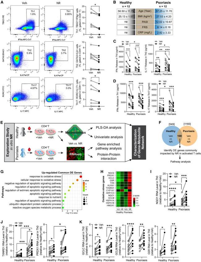 IFN gamma Antibody in Inhibition Assays (IA)