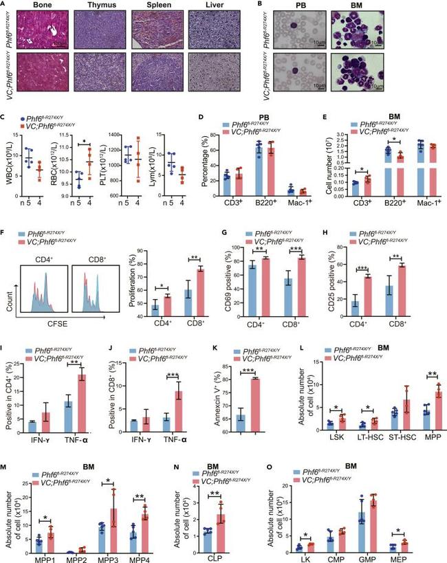 TNF alpha Antibody in Flow Cytometry (Flow)