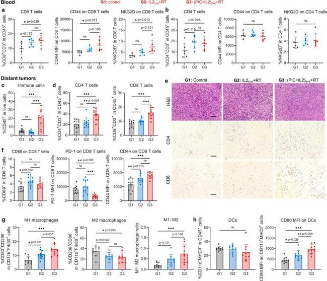 CD4 Antibody in Immunohistochemistry (IHC)