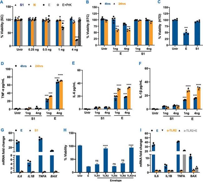 TLR2 Antibody in Neutralization (Neu)