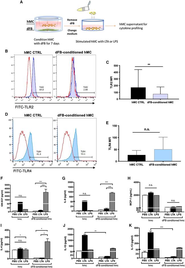 CD284 (TLR4) Antibody in Flow Cytometry (Flow)