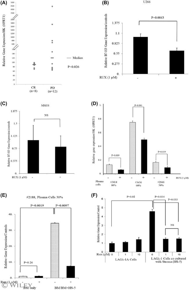 B7-H3 Antibody in Neutralization (Neu)