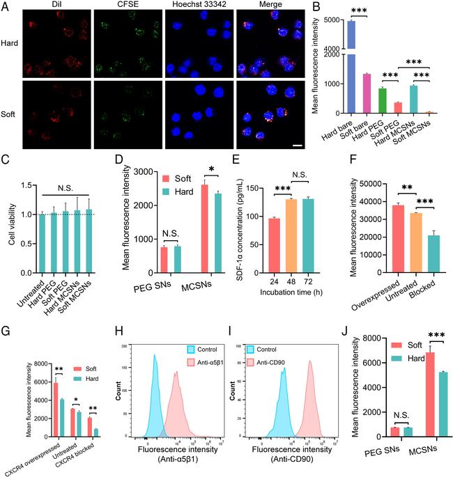 CXCR4 Antibody in Flow Cytometry (Flow)