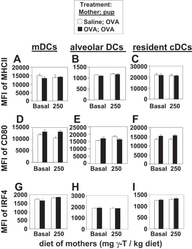 IRF4 Antibody in Flow Cytometry (Flow)